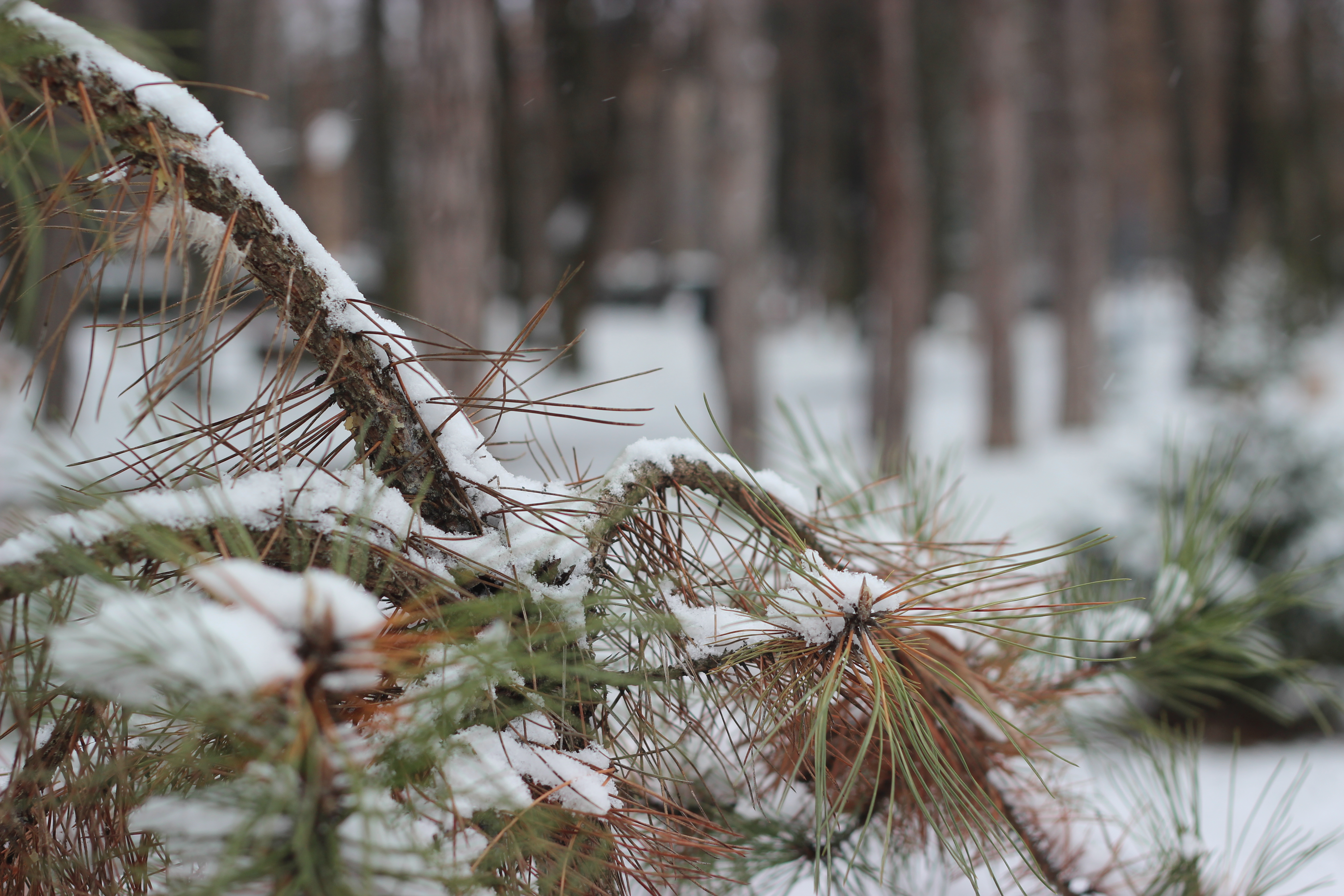 Пада снег у западној Србији, за сада нема застоја у саобраћају