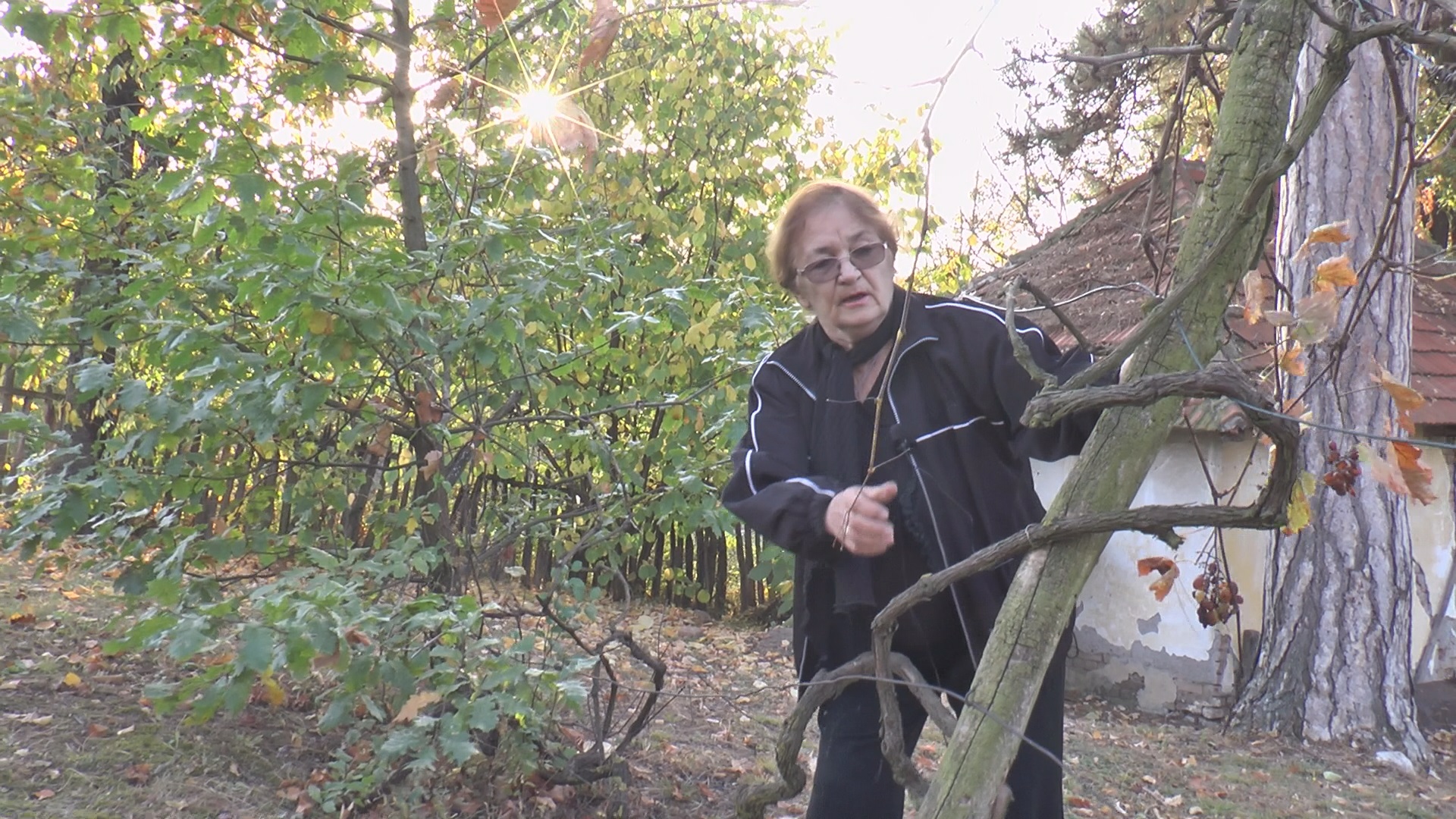 Примио се бадњак у дому породице Рацковић