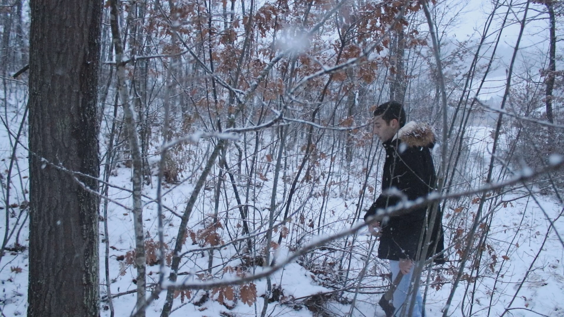 Сваки домаћин у западној Србију слави Бадњи дан