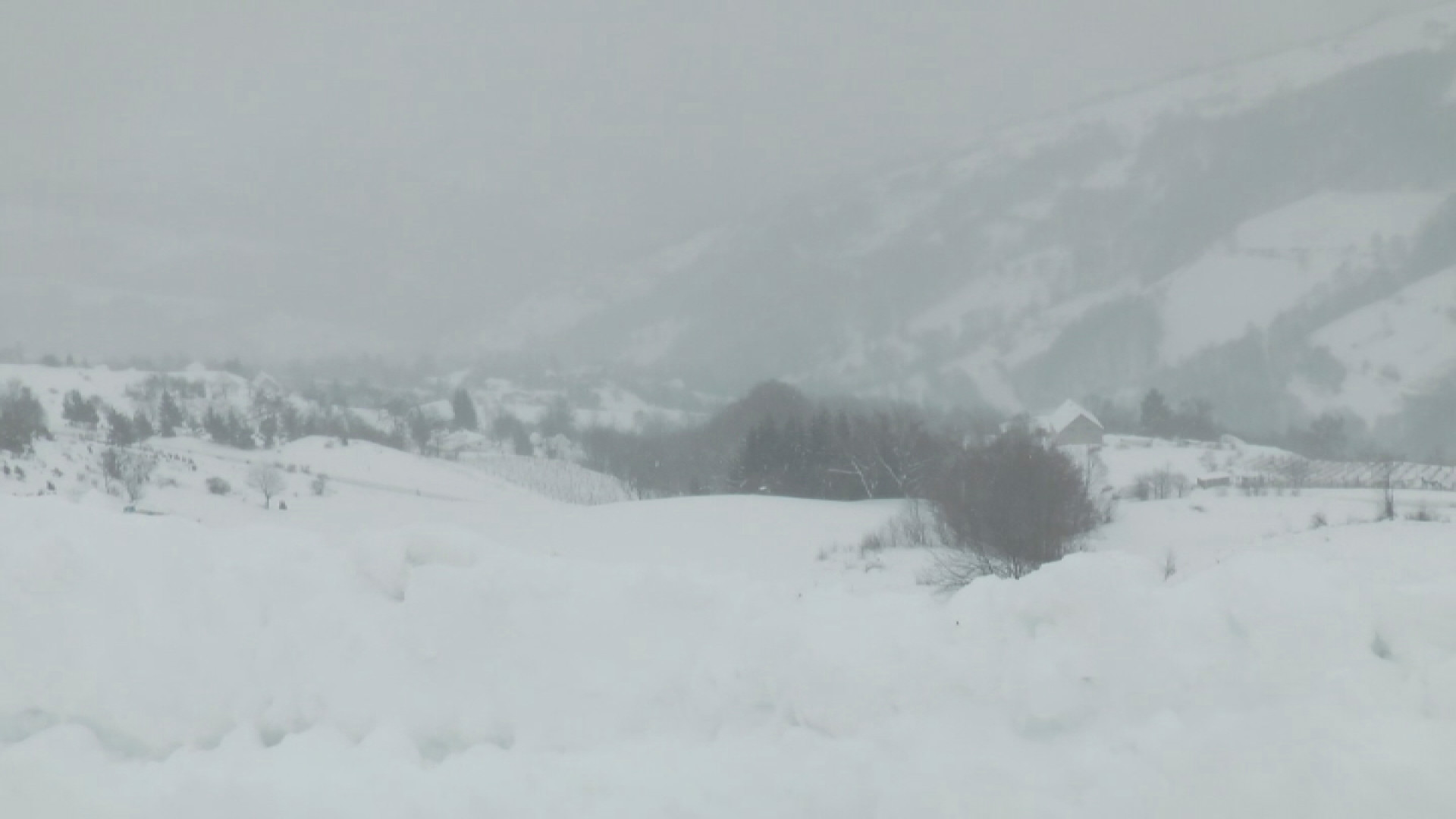 Хазбо Мујовић:  Ветар отежава рад путара, главни путеви проходни