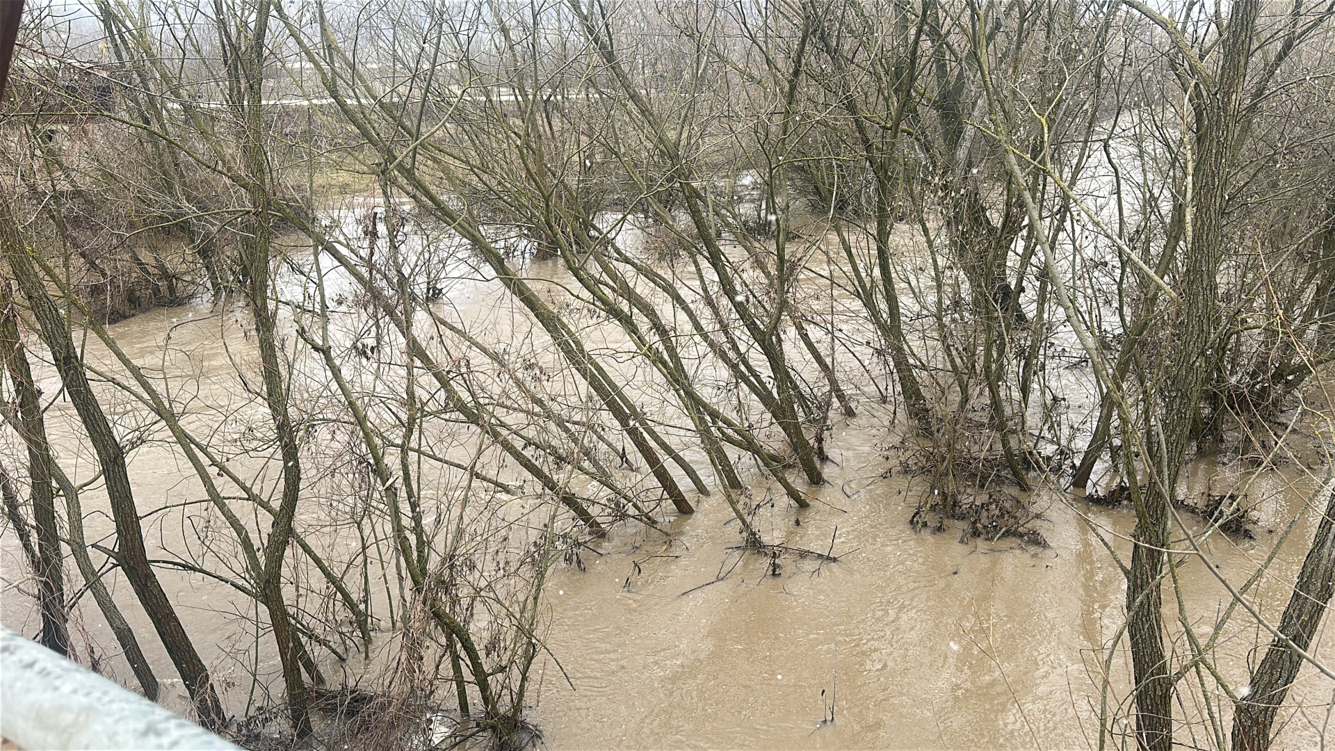 Čemerica nadomak kuća u Preljini: Meštani strahuju od novih padavina i mogućeg izlivanja (FOTO)(VIDEO)