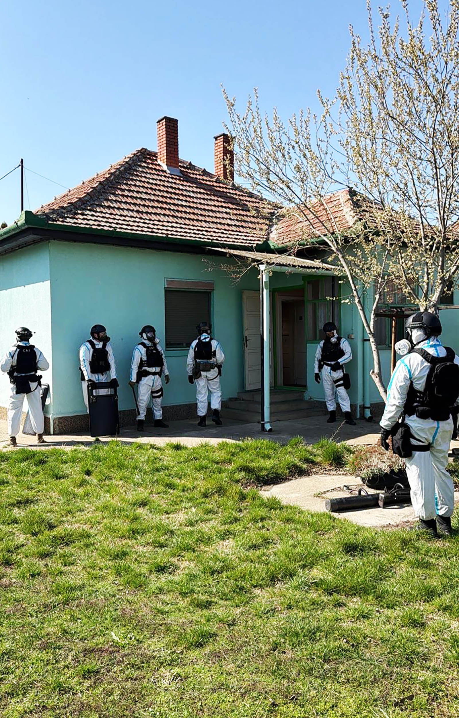 Razbijena narko-fabrika u Subotici: Policija upala u dve tajne laboratorije, zaplenjeno 180 biljaka i 12 kilograma marihuane (FOTO)(VIDEO)