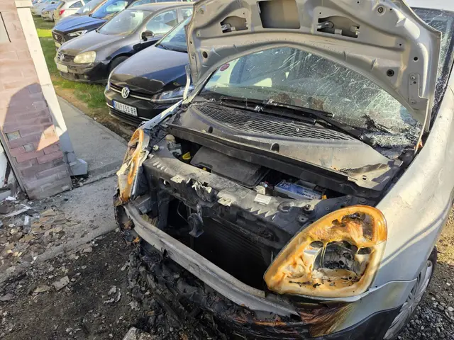 Haos na parkingu u Novom Sadu, izgorela tri automobila / foto: RINA