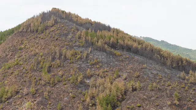Požar na Stolovima i dalje traje, foto: RINA