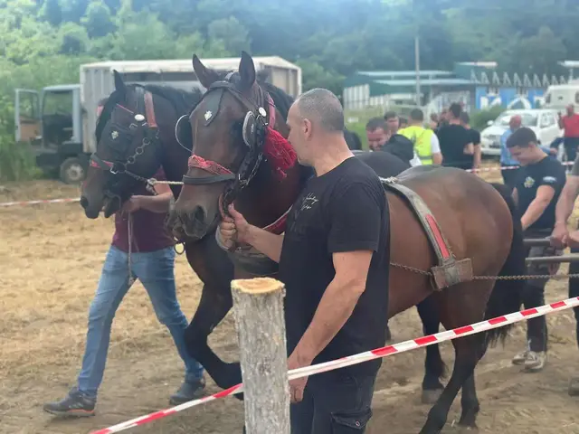 Štraparijada u Kotraži / foto: RINA