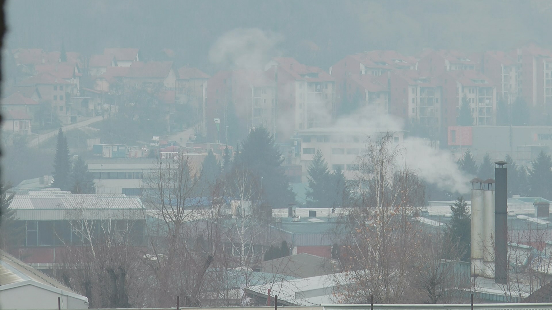 Čudo tehnologije postavlja se u samom centru Užica: Potpuno novo rešenje za prečišćavanje vazduha, biće instalirano tečno drvo