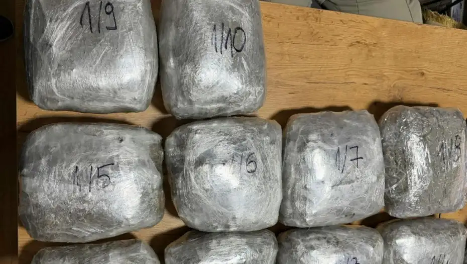 Velika zaplena u Novom Pazaru: Policija u kabini kamiona pronašla 10,5 kilograma marihuane, uhapšen vozač iz Ćuprije