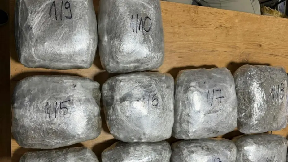 Velika zaplena u Novom Pazaru: Policija u kabini kamiona pronašla 10,5 kilograma marihuane, uhapšen vozač iz Ćuprije