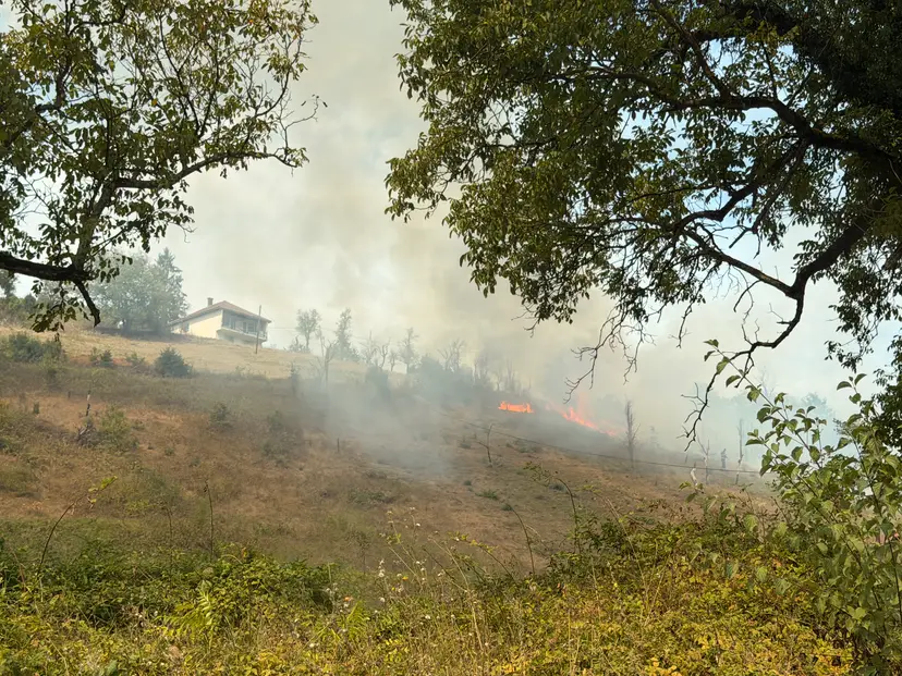 Drama na ulazu u Foču: Veliki požar u Handićima preti domaćinstvima, gust dim prekrio put - ovo su slike sa lica mesta (FOTO)(VIDEO)