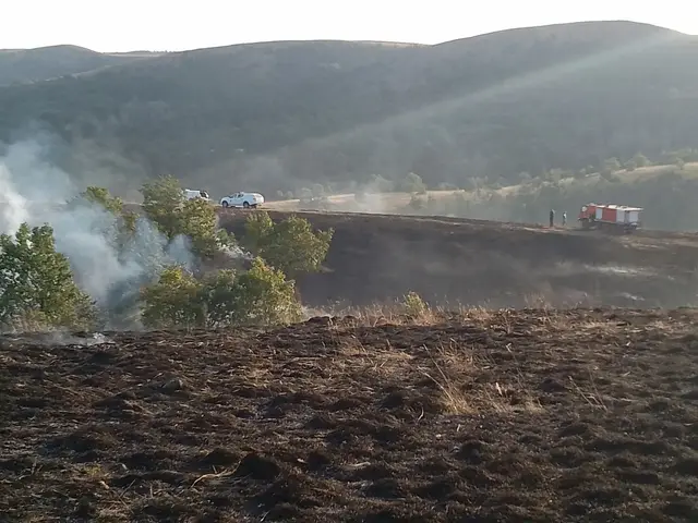 Lokalizovan požar na Ravnoj Gori: Foto: RINA