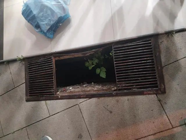 Vesna upala u otvoren šaht/ Foto: Privatna arhiva