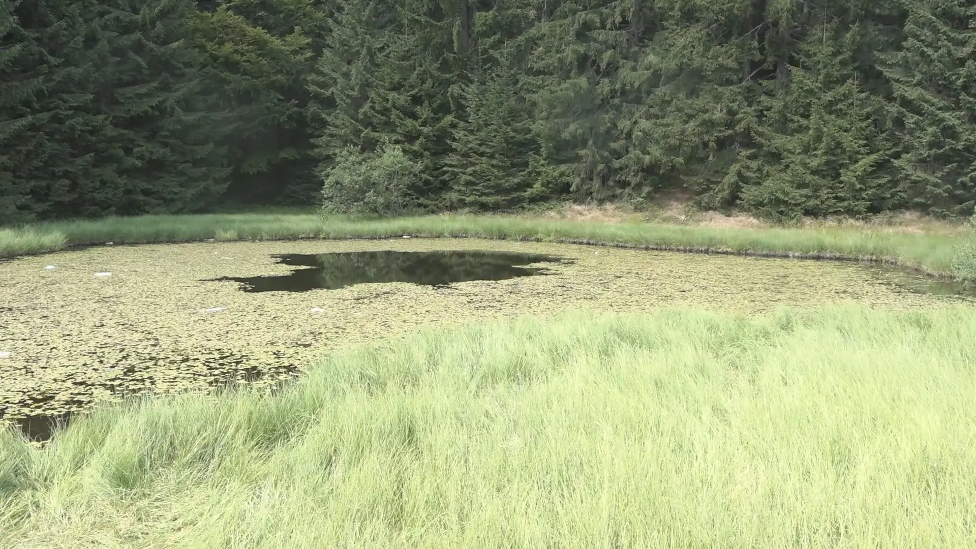 Ovo jezero nema obale, a legenda kaže da su u njega upali svatovi i utopili se: Skriveni biser Golije izgleda kao sa razglednice (FOTO)