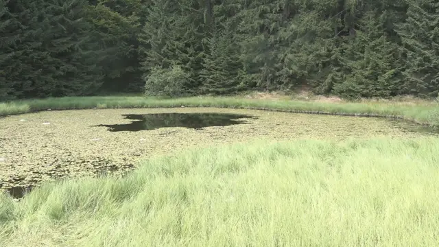 Dajićko jezero na Goliji / foto: RINA