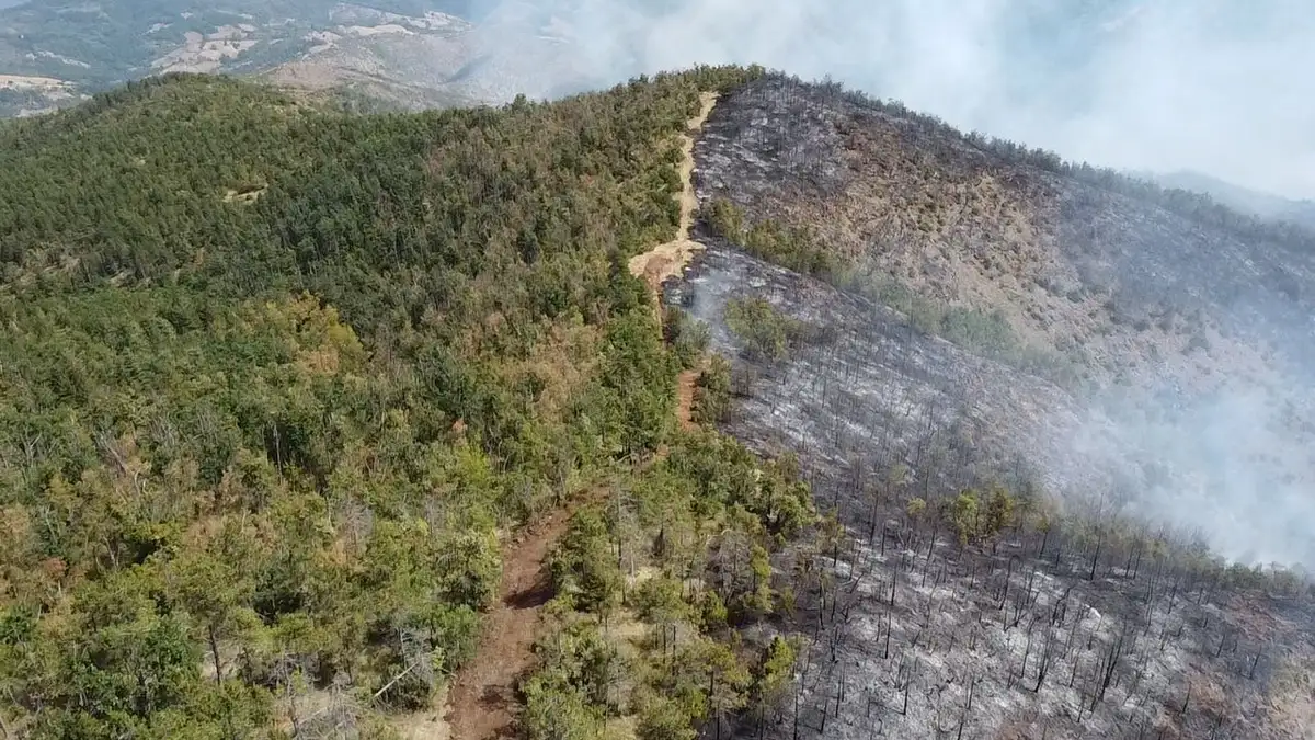 Kiša u pravi čas spasila ovo selo: Lokalizovan požar u Kaoni kod Lučana, helikopter ovde više nije potreban