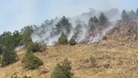 Vetar pogoršava situaciju, požarište dugačko preko 20 kilometara: Ovo je trenutno stanje kod Kraljeva, desetine vatrogasaca-spasilaca na terenu (FOTO)(VIDEO)
