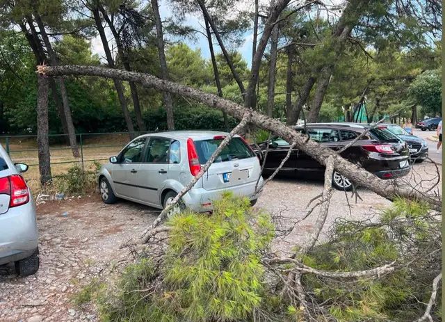 Jako olujno nevreme pogodilo Podgoricu / foto: RINA