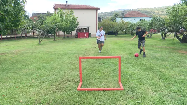 Đorđe i Dušan čitavo leto radili d abi kupili traktor / foto: RINA