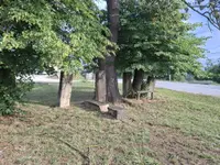 Tužna slika iz sela Lipnica kod Čačka: Još jedan spomenik krajputaš je pao - sa tim nestaje sećanje na naše pretke (FOTO)