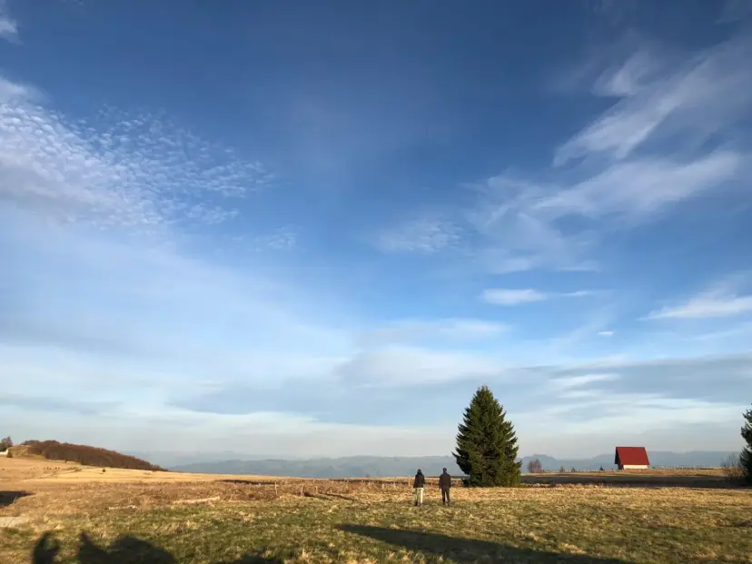 Dok Srbiju drma tropski talas, ovde je prava uživancija: Debela hladovina na Goliji, temperatura oko 25 stepeni (FOTO)