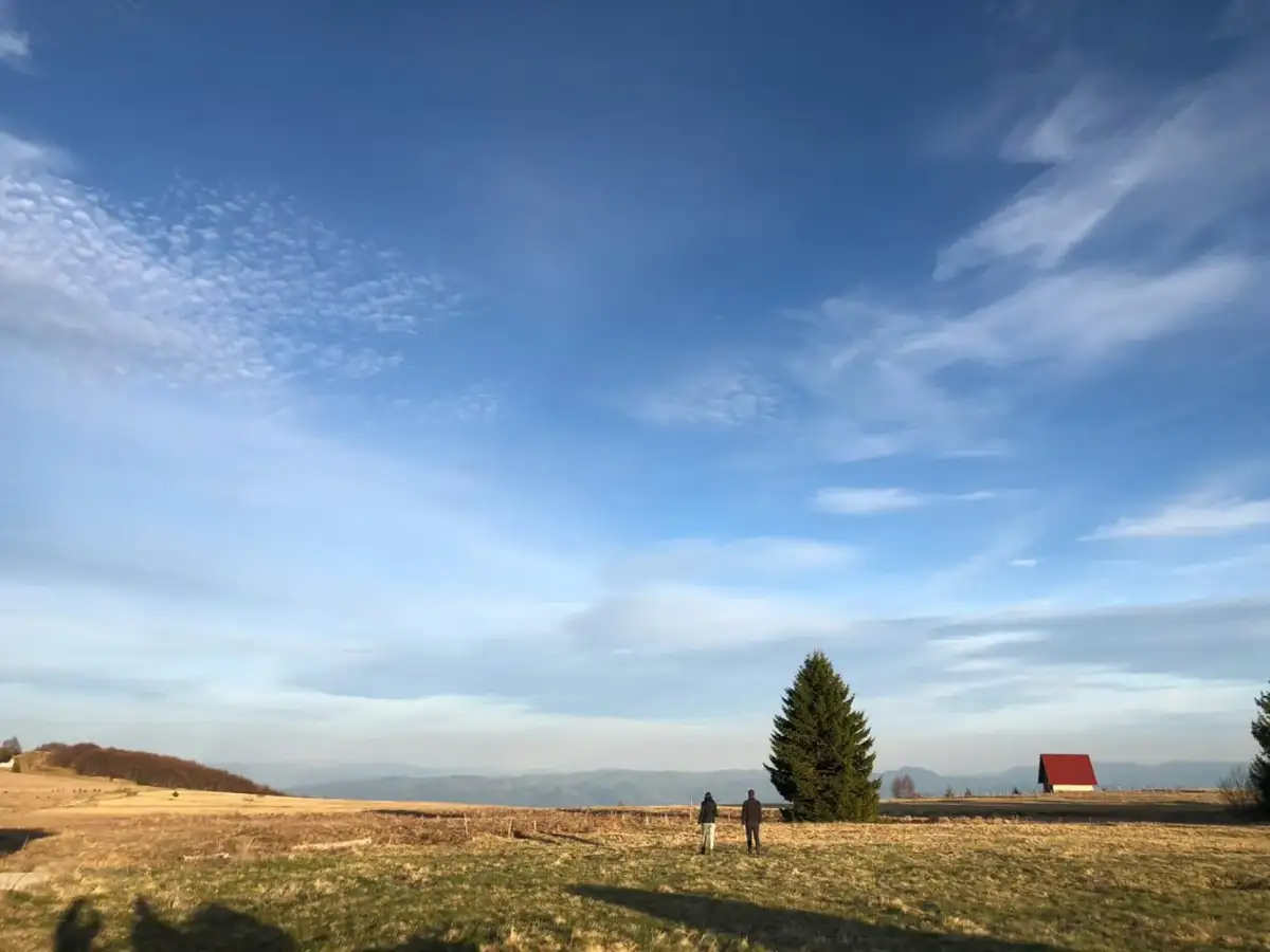 Dok Srbiju drma tropski talas, ovde je prava uživancija: Debela hladovina na Goliji, temperatura oko 25 stepeni (FOTO)