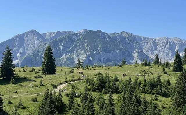 Bespravna gradnja na Žabljaku/ Foto: RINA