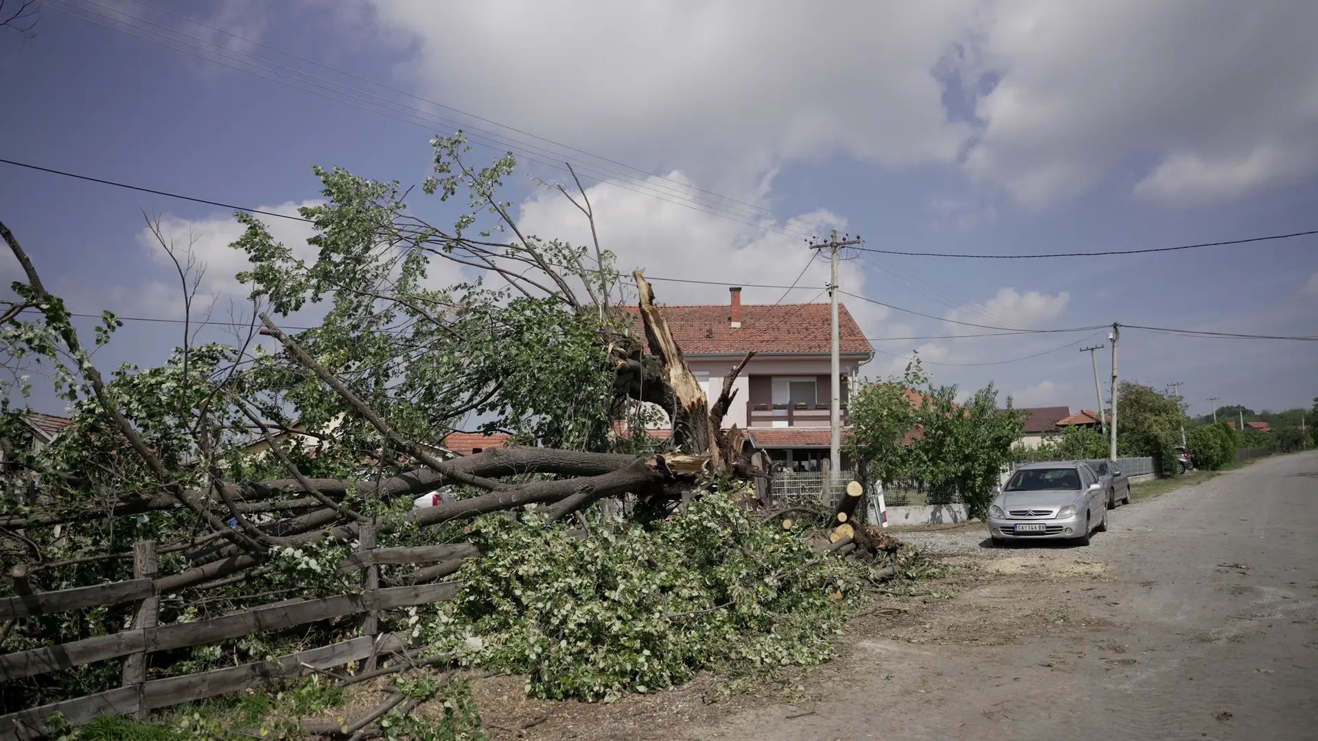 Grad omlatio voćnjake pred samu berbu: Počela prijava štete u Gornjem Milanovcu, komisije izlaze na teren