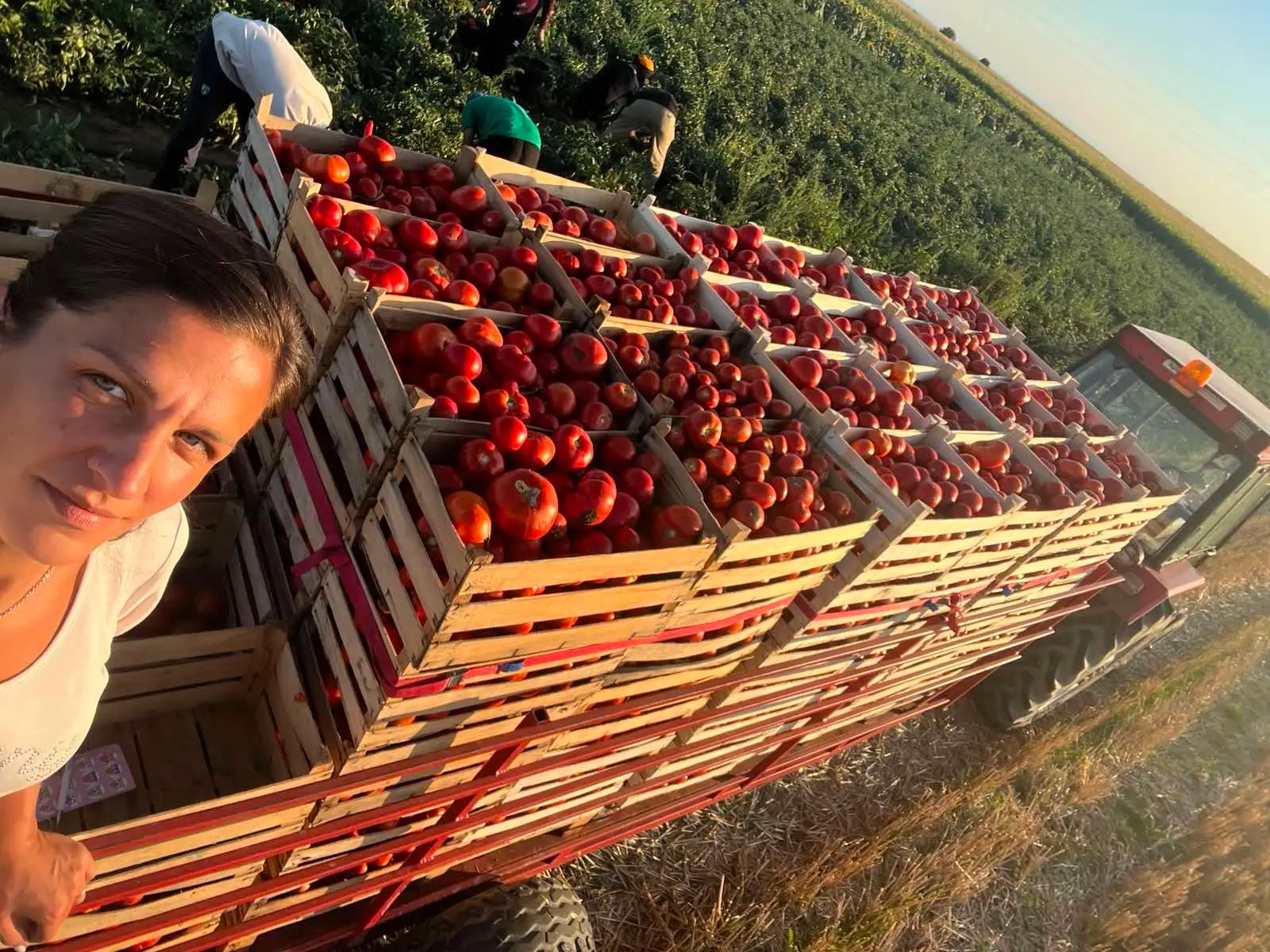 Ona je vojvođanska kraljica paradajza: Sandra godišnje napravi preko 10.000 litara soka, u posao uključena cela porodica (FOTO)