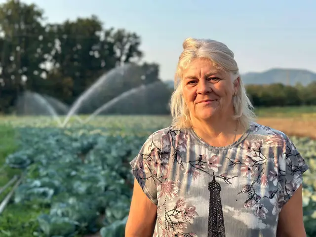 Nema pauze na rodnim njivama / foto: RINA