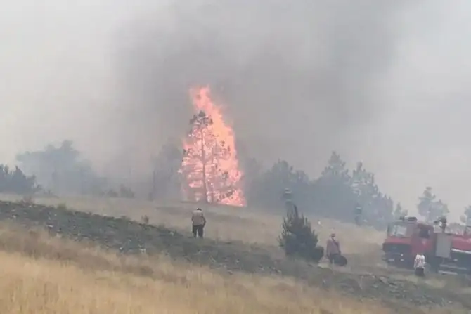 Grom udario u stablo, pa buknuo požar: Hitna situacija na Tari, vatrogasci uspeli da lokalizuju plamen