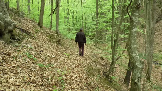 Legenda o blagu Nemanjića u Ostri i dalje živi / foto: RINA