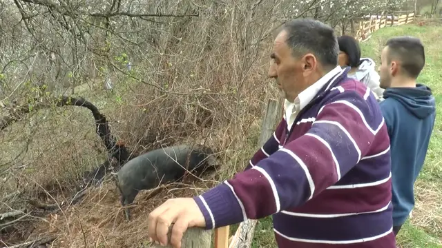 Mladi Vučić nije otišao iz rodnog sela, foto: RINA