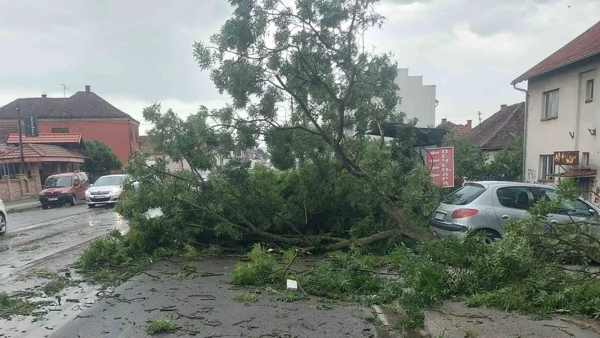 Jako nevreme pogodilo Kokin Brod: Drvo palo na put, saobraćaj se odvija otežano