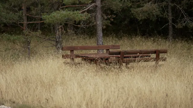 Park prirode Zlatibor riznica za retke biljke i životinje / foto: RINA
