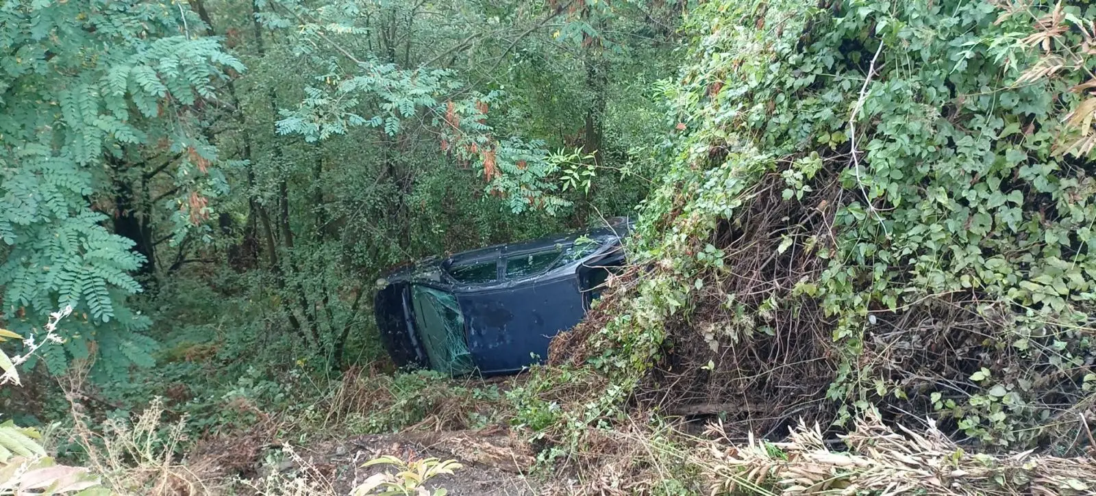 Drama kod Ivanjice: Automobil sleteo sa puta, sleteo pet metara niz provaliju a onda se desilo čudo, završio oslonjen na drvo (FOTO)