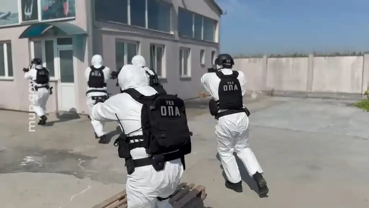 Filmska akcija u Batajnici: Policija otkrila laboratoriju za uzgoj marihuane, zaplenjeno 1.700 biljaka