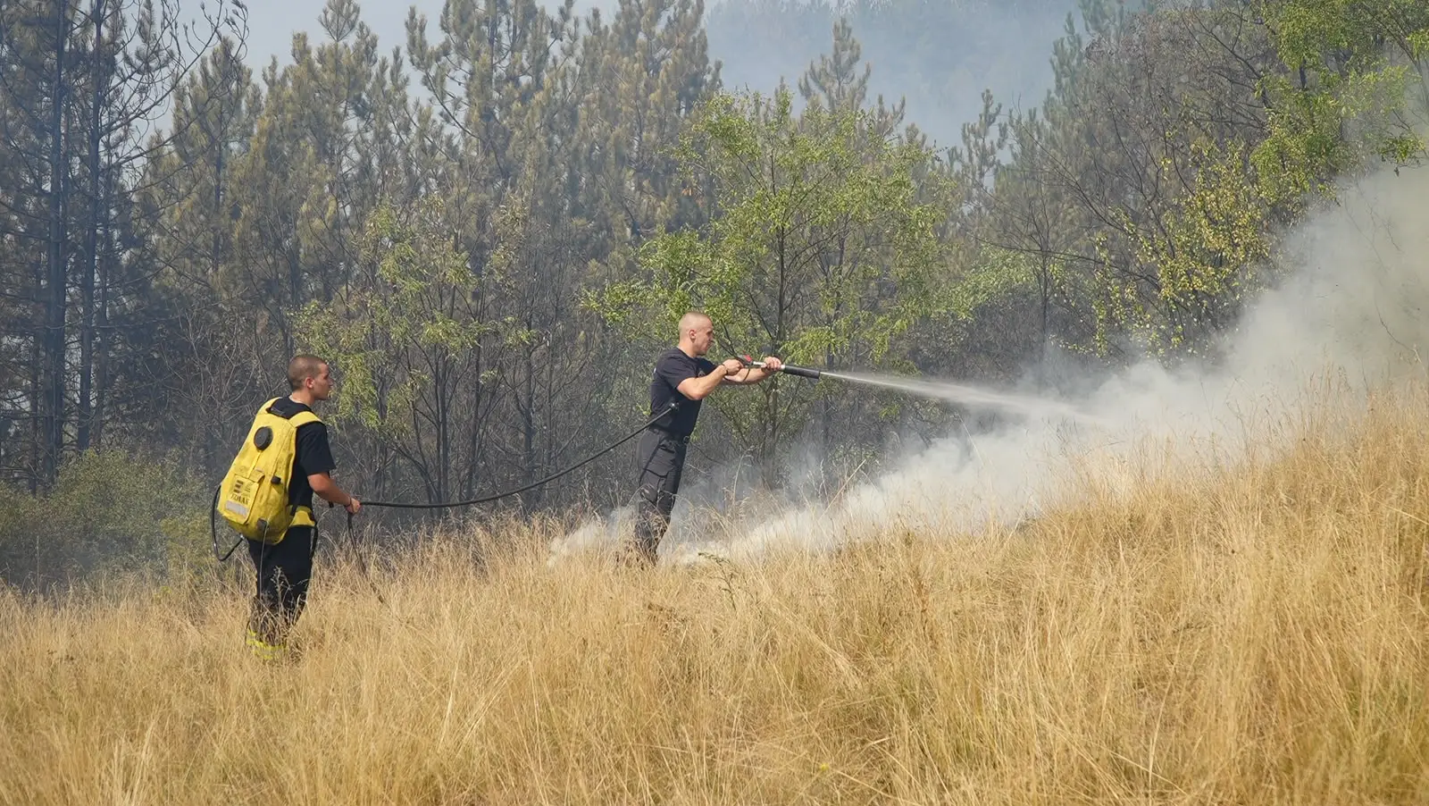Nepristupačan teren i vetar koji stalno menja pravac: Vatrogasci se bore sa više od 30 požara širom Srbije