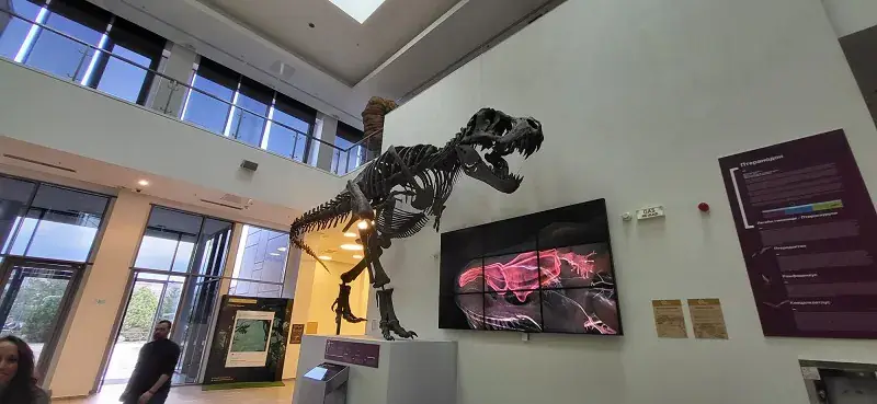 Ovo je najneobičniji "prespavanjac" u Srbiji: U Svilajncu se noćas spava sa dinosaursima - opšta navala za ovaj nesvakidašnji događaj