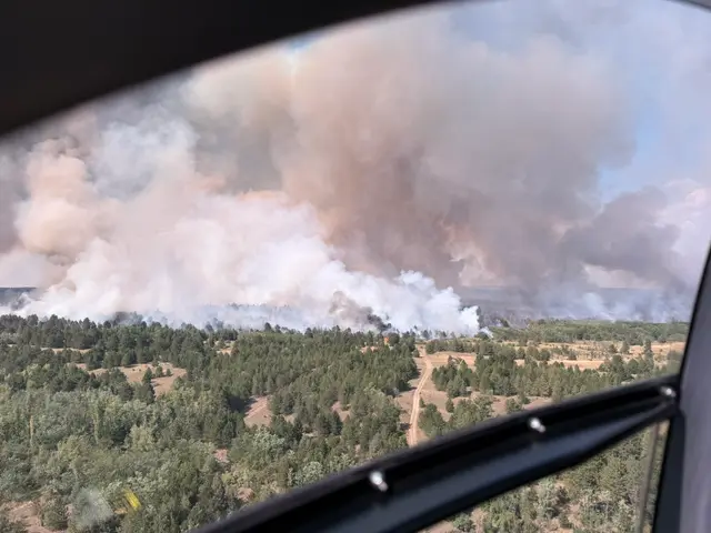 MUP angažovao sve raspoložive kapacitete u gašenju požara u Deliblatskoj peščari - Foto MUP SRBIJE